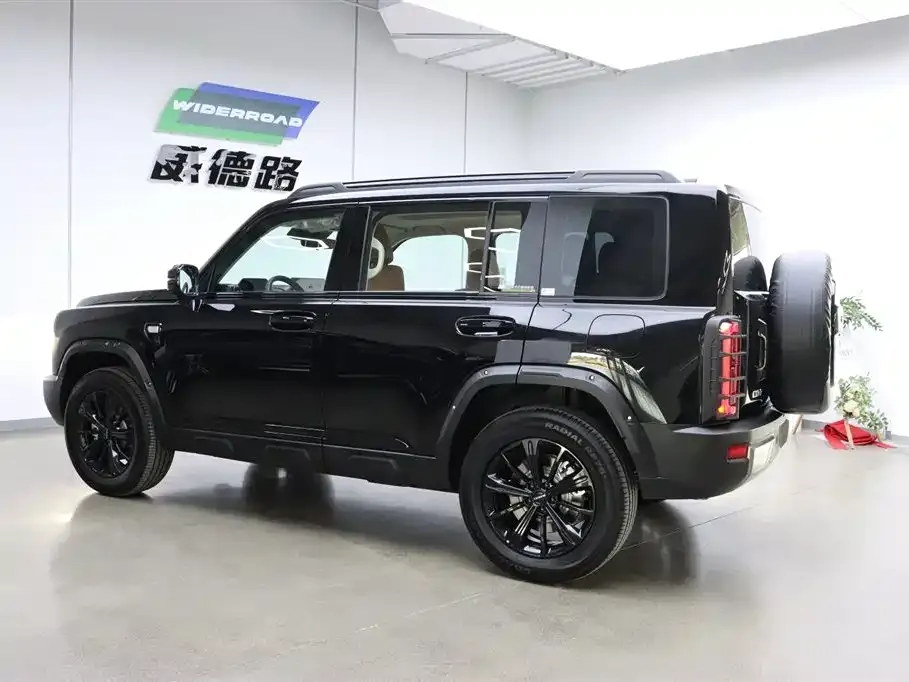 Haval Menglong New Energy 2025 из CN, фото 3