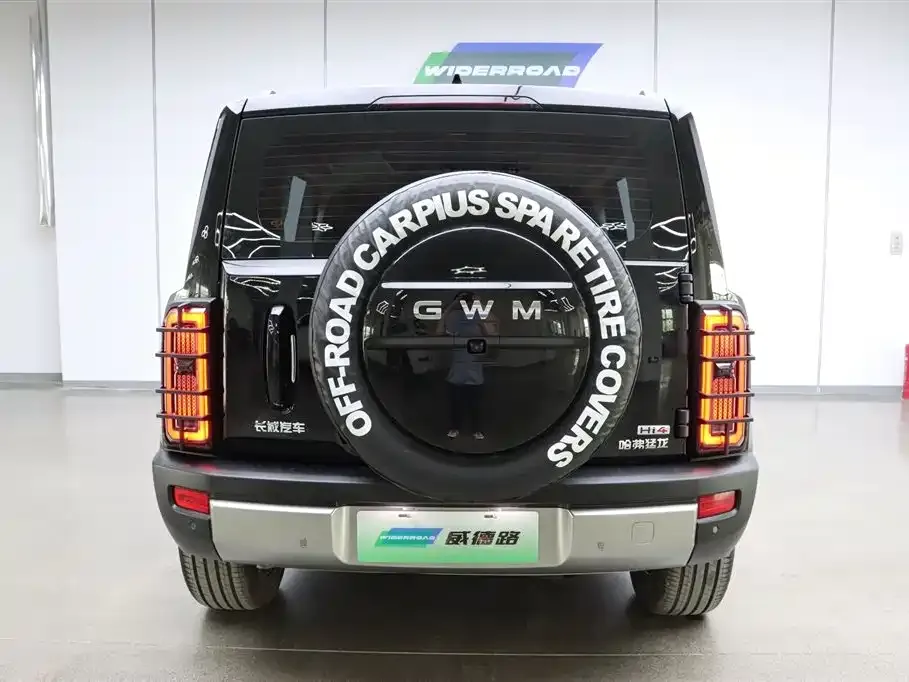 Haval Menglong New Energy 2025 из CN, фото 8