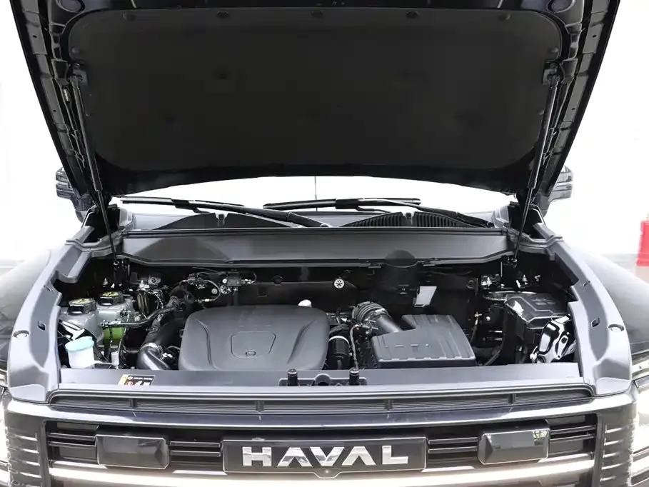 Haval Menglong New Energy 2025 из CN, фото 10