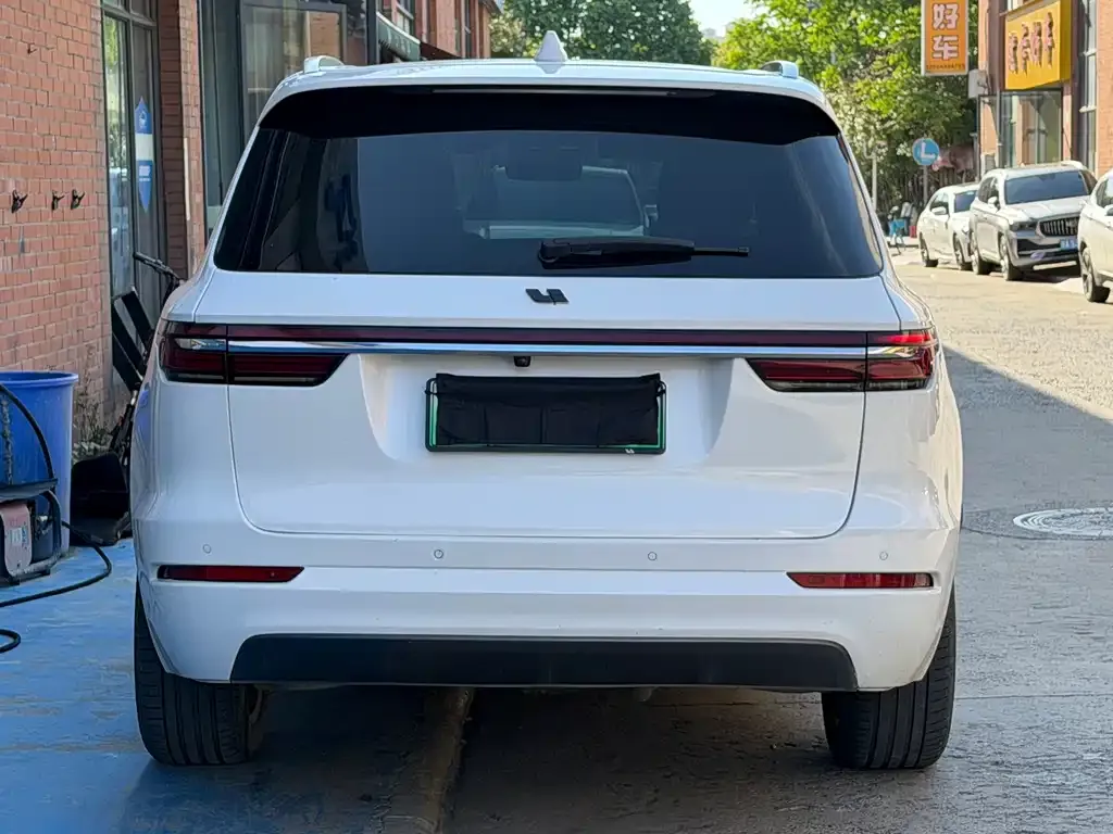 Li Auto ONE 2021 из CN, фото 10