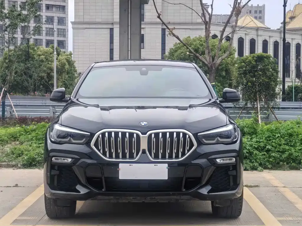BMW X6 2021 из CN, фото 9