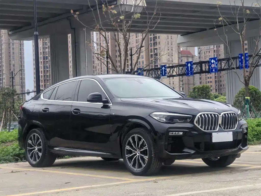 BMW X6 2021 из CN, фото 3