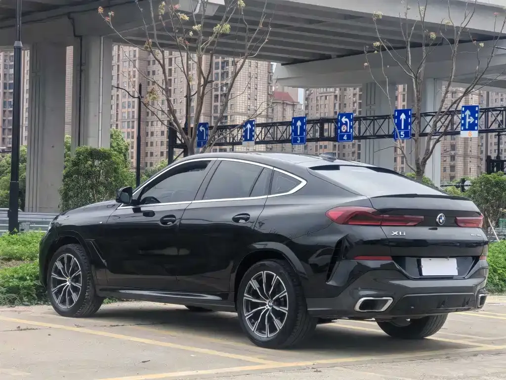 BMW X6 2021 из CN, фото 4