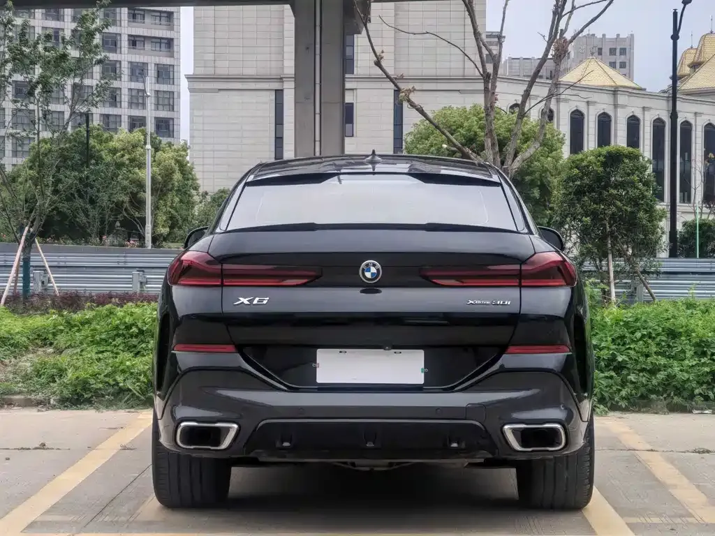 BMW X6 2021 из CN, фото 8