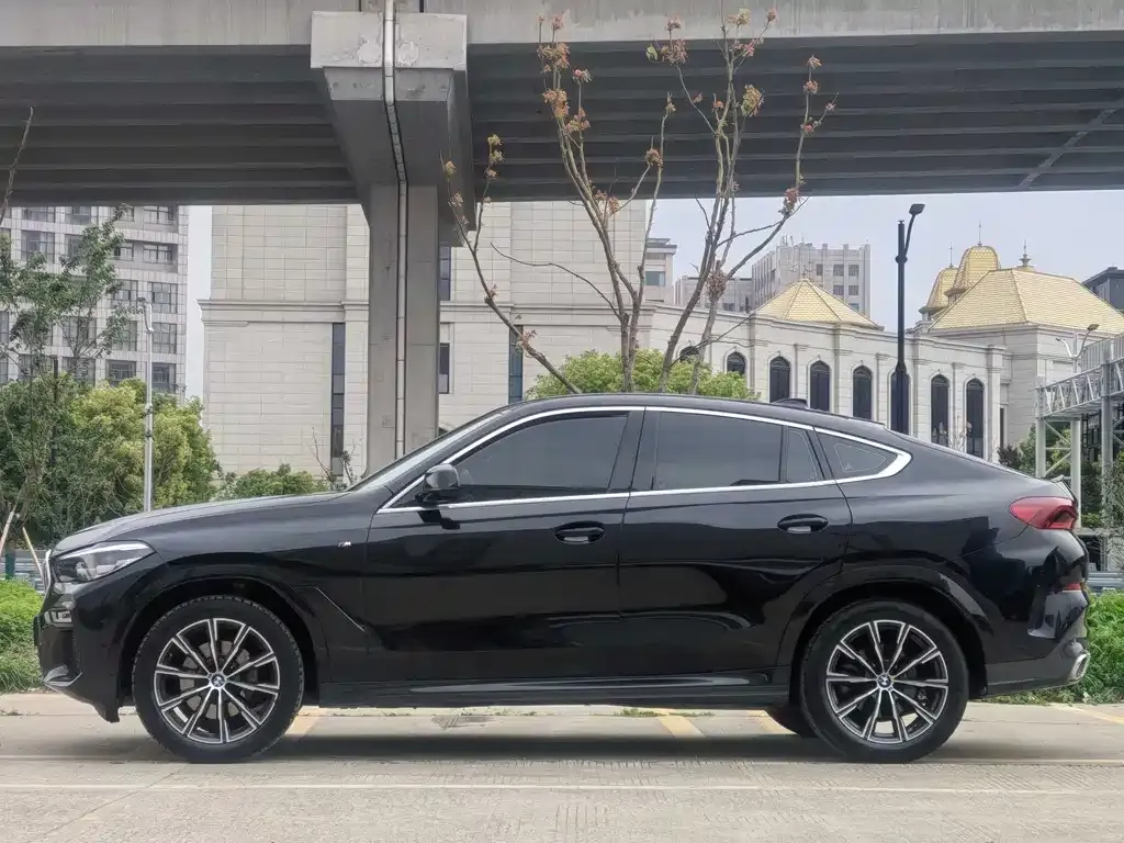 BMW X6 2021 из CN, фото 7