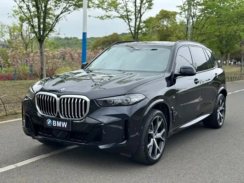 BMW X5 — фото 1