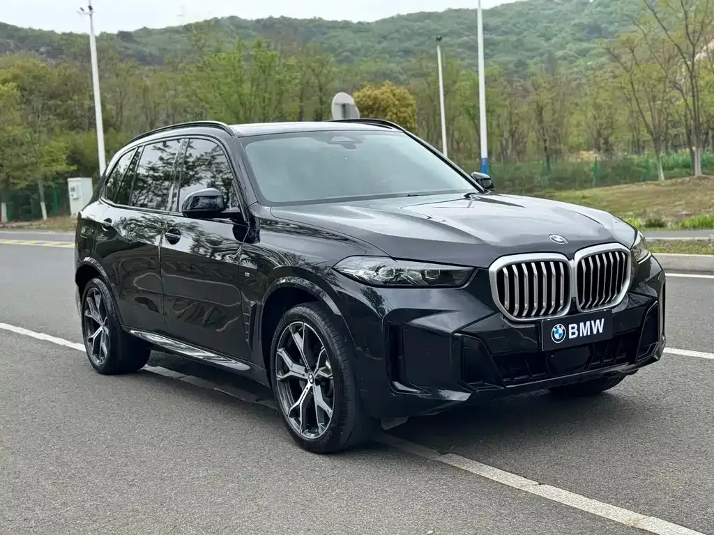 BMW X5 — фото 9