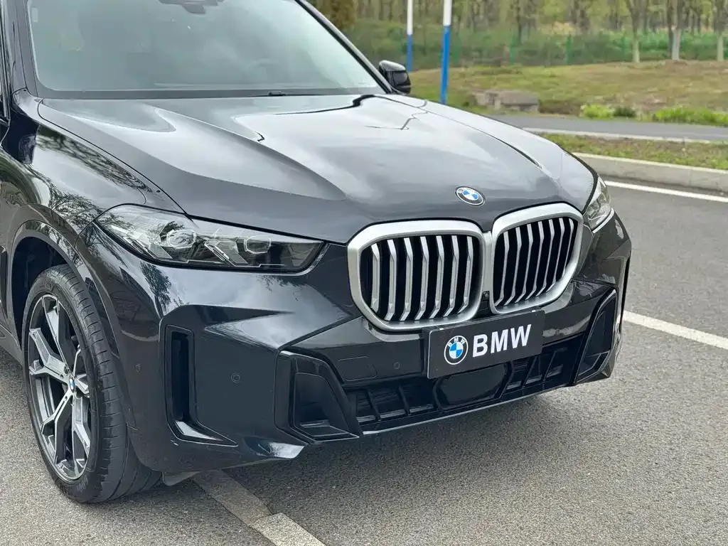 BMW X5 — фото 5
