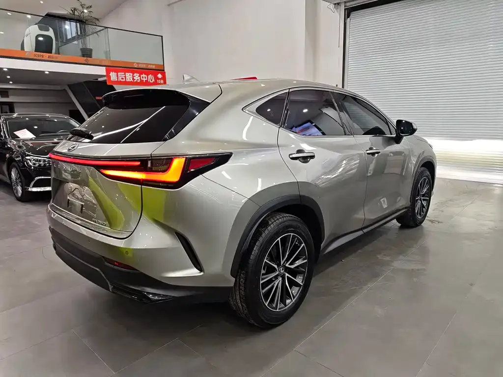 Lexus NX 2022 из CN, фото 8