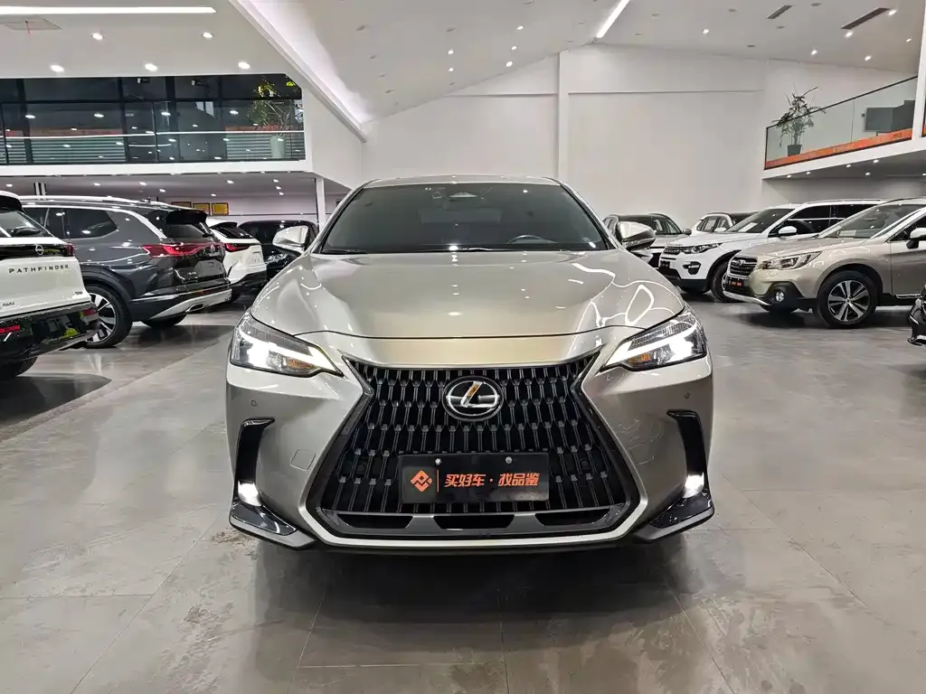 Lexus NX 2022 из CN, фото 6