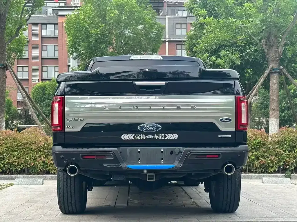 Ford F-150 Raptor 2021 из CN, фото 3