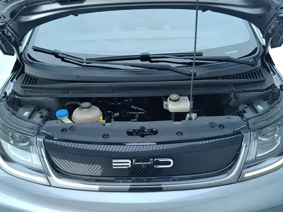 BYD Dolphin 2023 из CN, фото 10