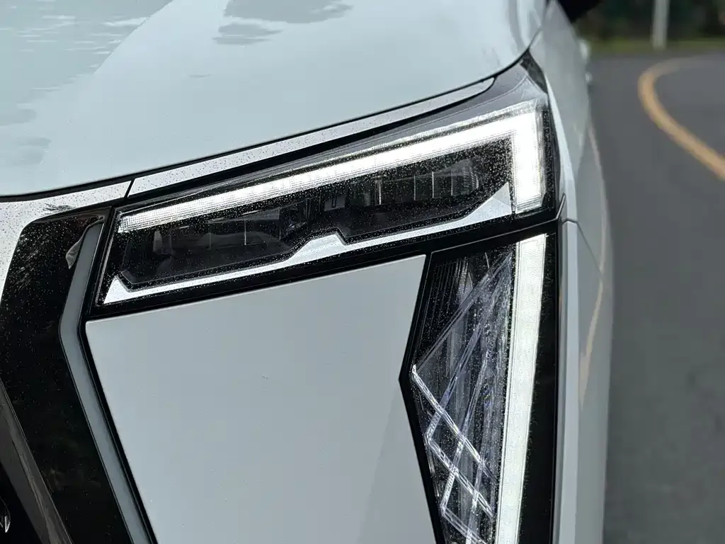 GAC Motor Trumpchi E9 — фото 10