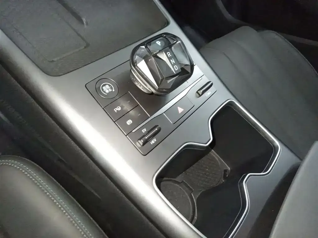 BYD Pro New Energy 2025 из CN, фото 3