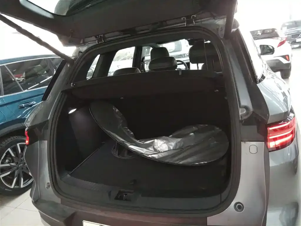 BYD Pro New Energy 2025 из CN, фото 7