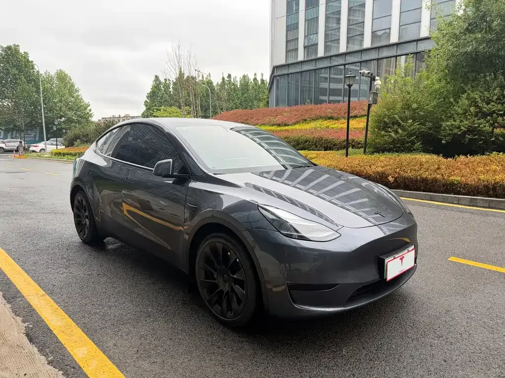 Tesla Model Y — фото 5