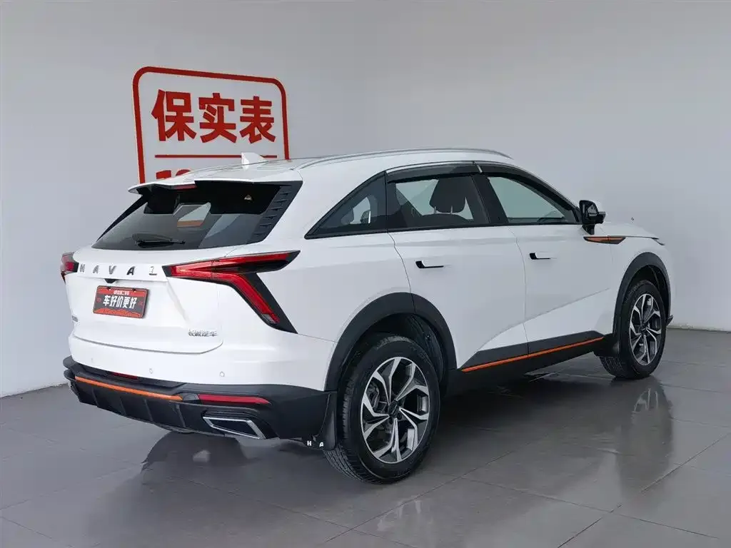 Haval Shenshou 2023 из CN, фото 2
