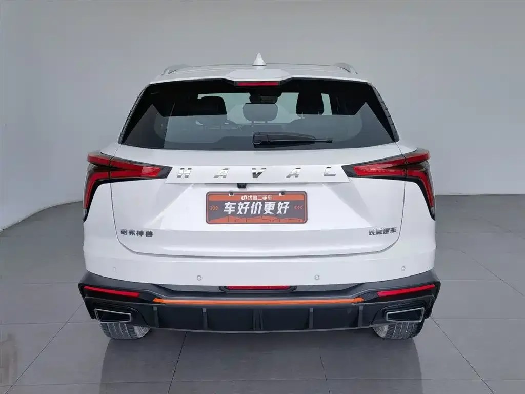 Haval Shenshou 2023 из CN, фото 4