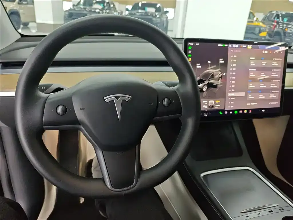 Tesla Model Y 2023 из CN, фото 3