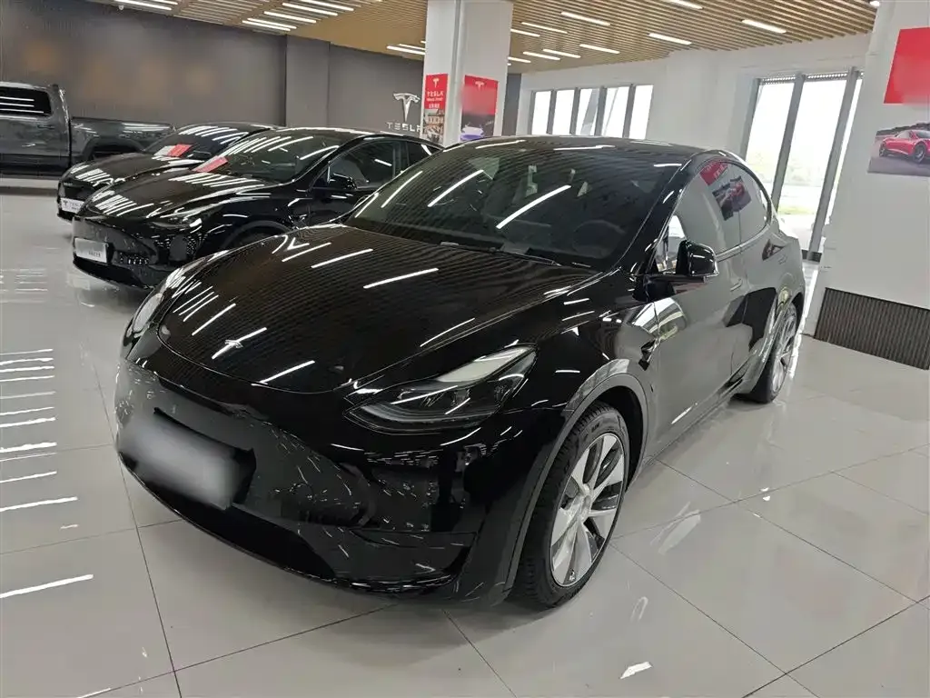 Tesla Model Y 2023 из CN, фото 6