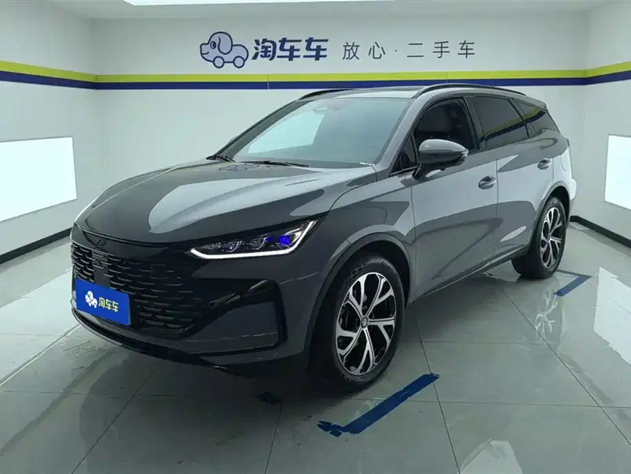 BYD Tang New Energy — фото 1