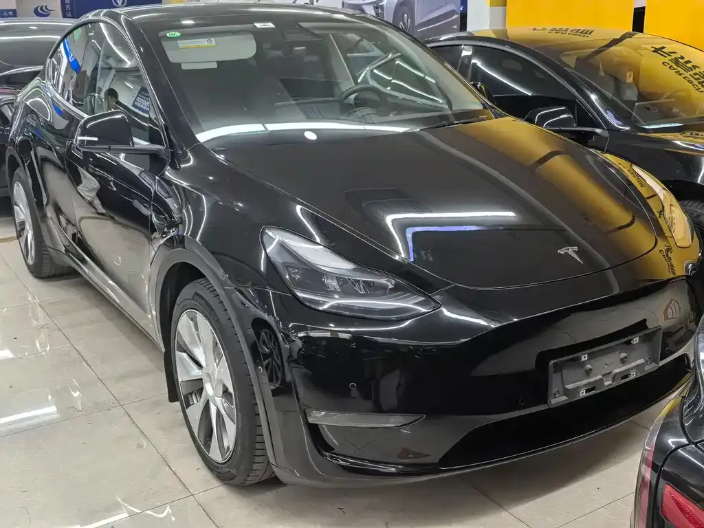 Tesla Model Y — фото 9