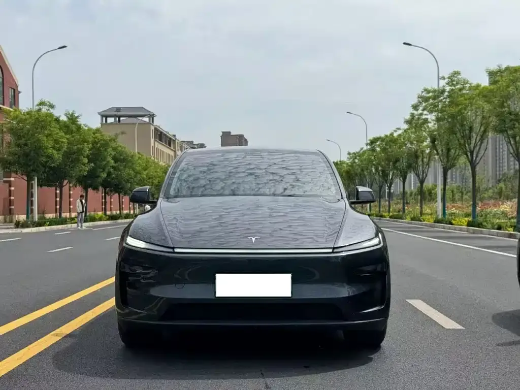 Tesla Model Y — фото 1