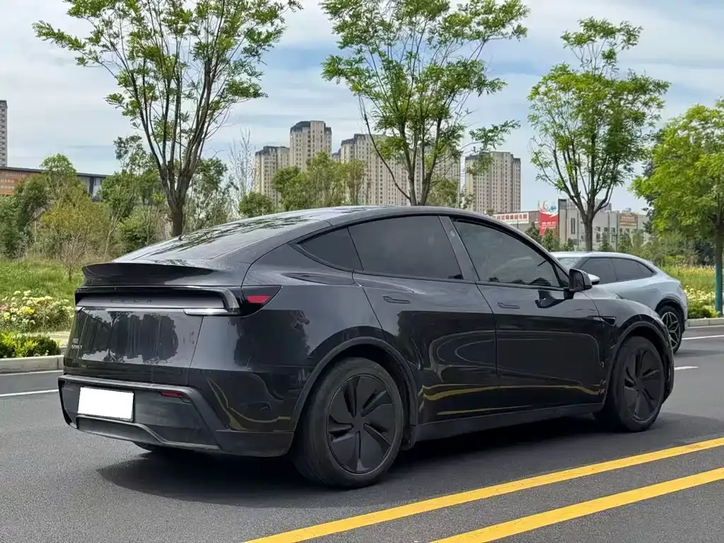Tesla Model Y — фото 8
