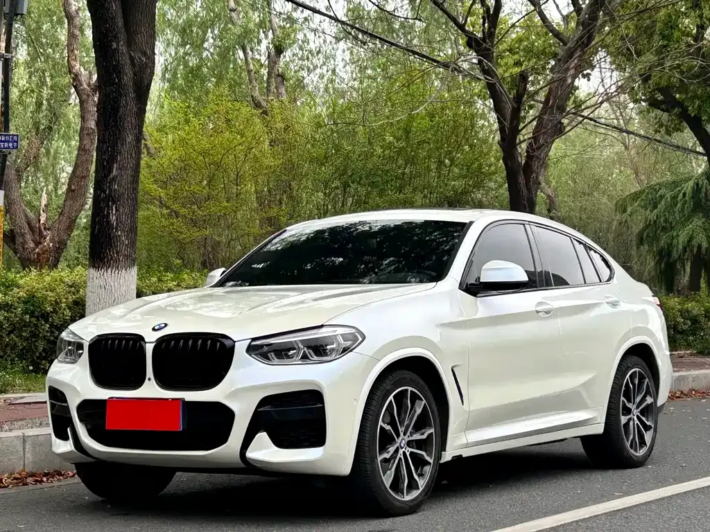 BMW X4 — фото 1
