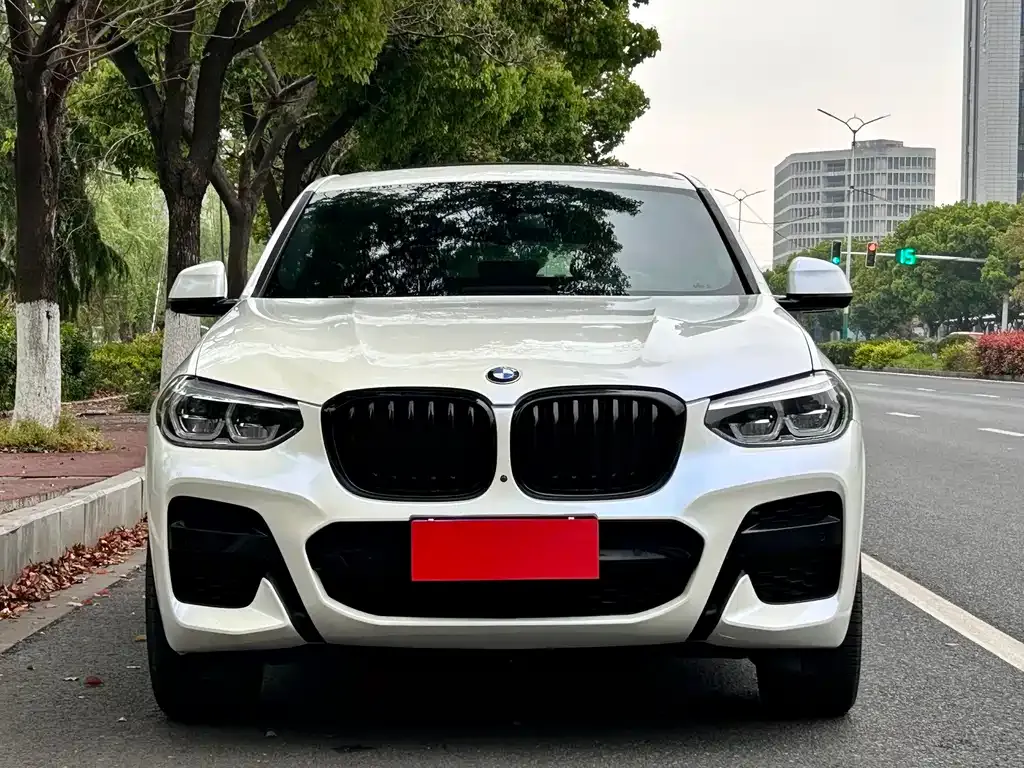 BMW X4 — фото 8
