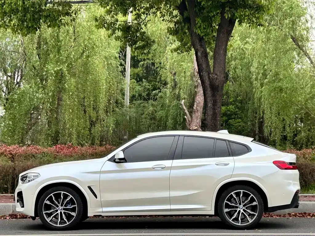 BMW X4 — фото 9