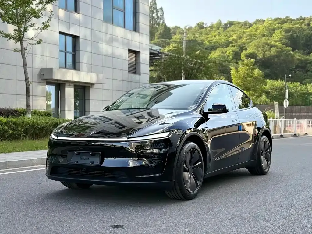 Tesla Model Y 2025 из CN, фото 1