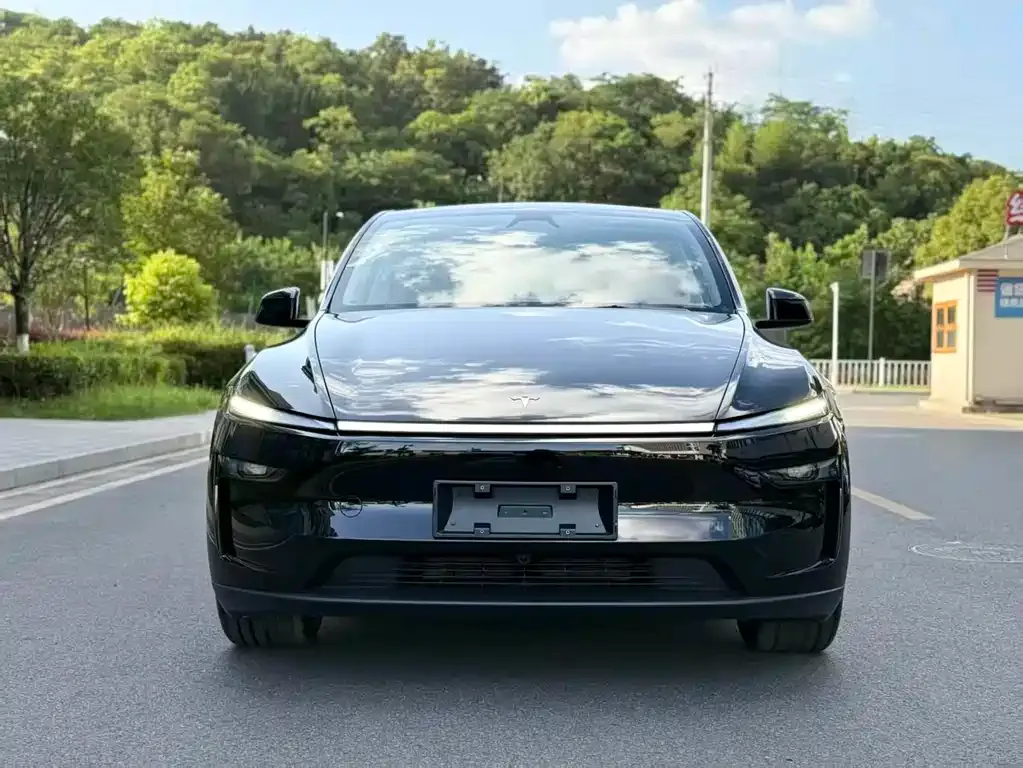 Tesla Model Y 2025 из CN, фото 4