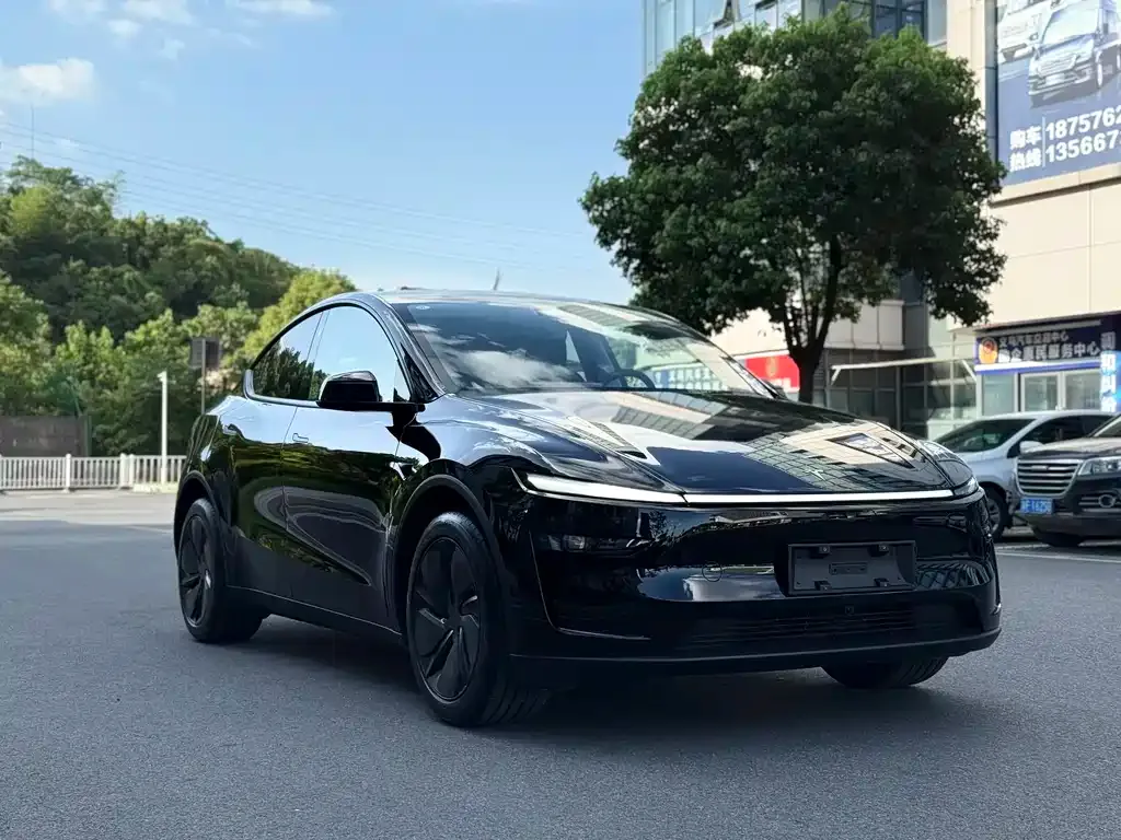 Tesla Model Y 2025 из CN, фото 8