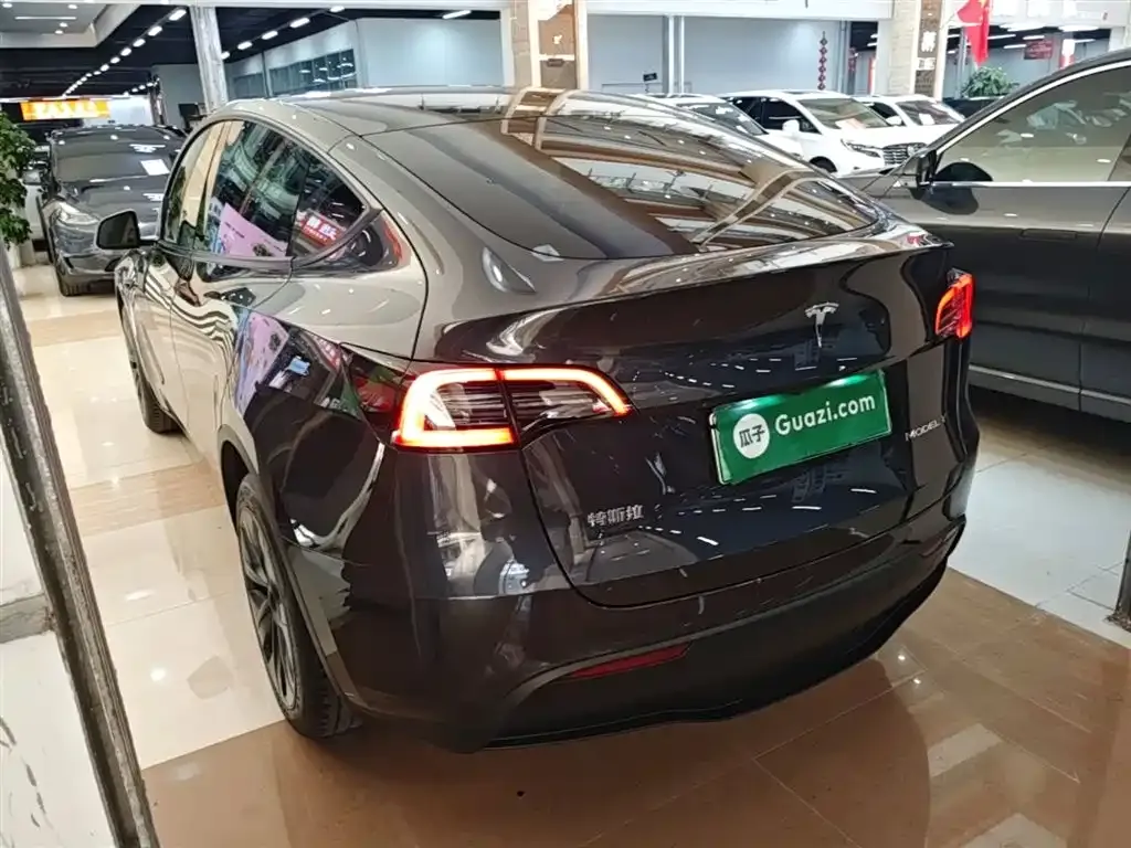 Tesla Model Y — фото 10