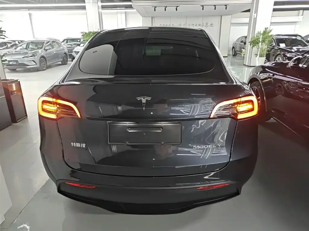 Tesla Model Y 2025 из CN, фото 8