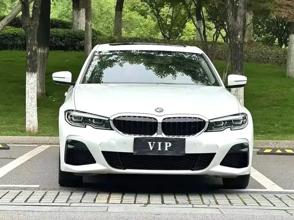 BMW 3 Series 2022 из CN, фото 3