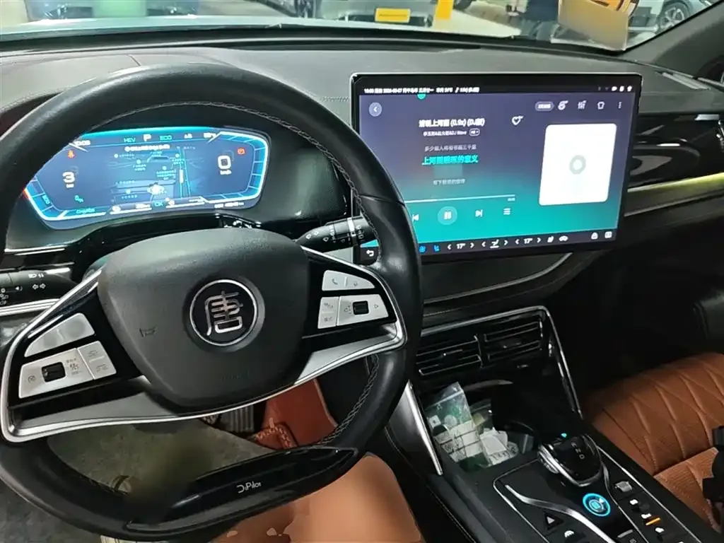 BYD Tang New Energy 2024 из CN, фото 9