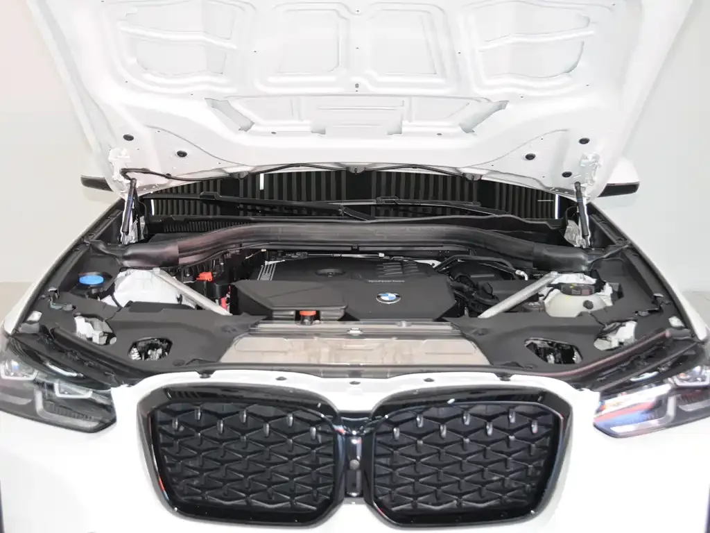 BMW X4 2023 из CN, фото 4