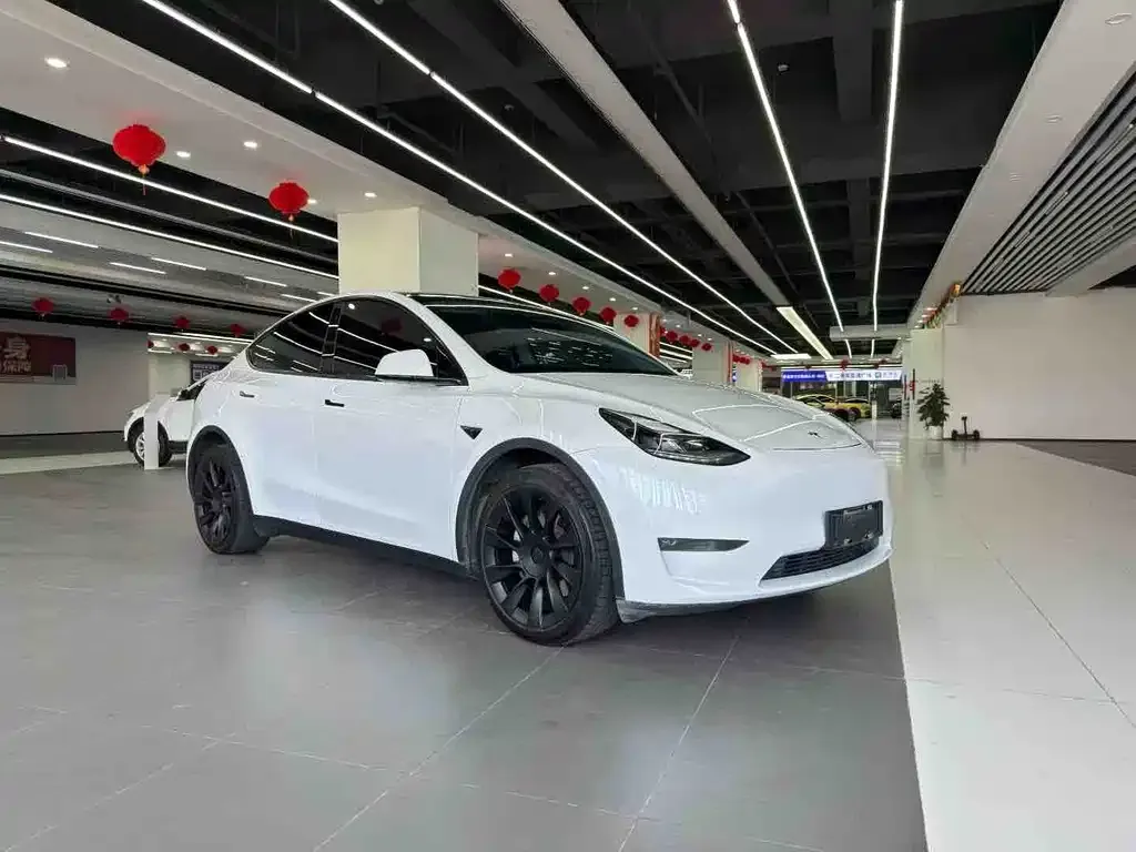 Tesla Model Y — фото 2