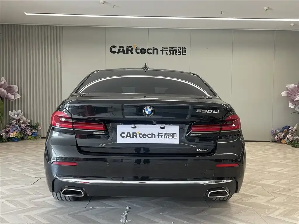 BMW 5 Series 2021 из CN, фото 4