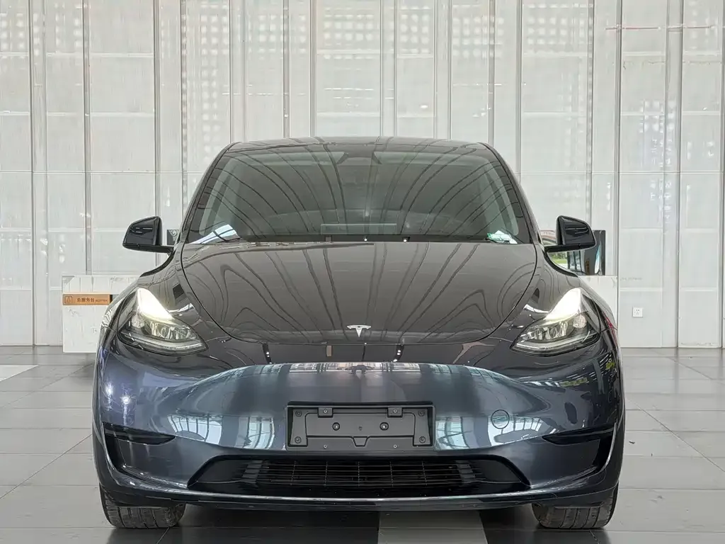 Tesla Model Y — фото 3