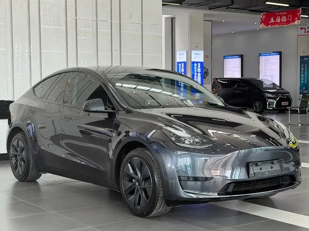 Tesla Model Y — фото 5