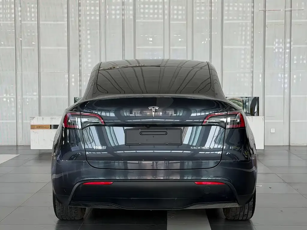 Tesla Model Y — фото 8