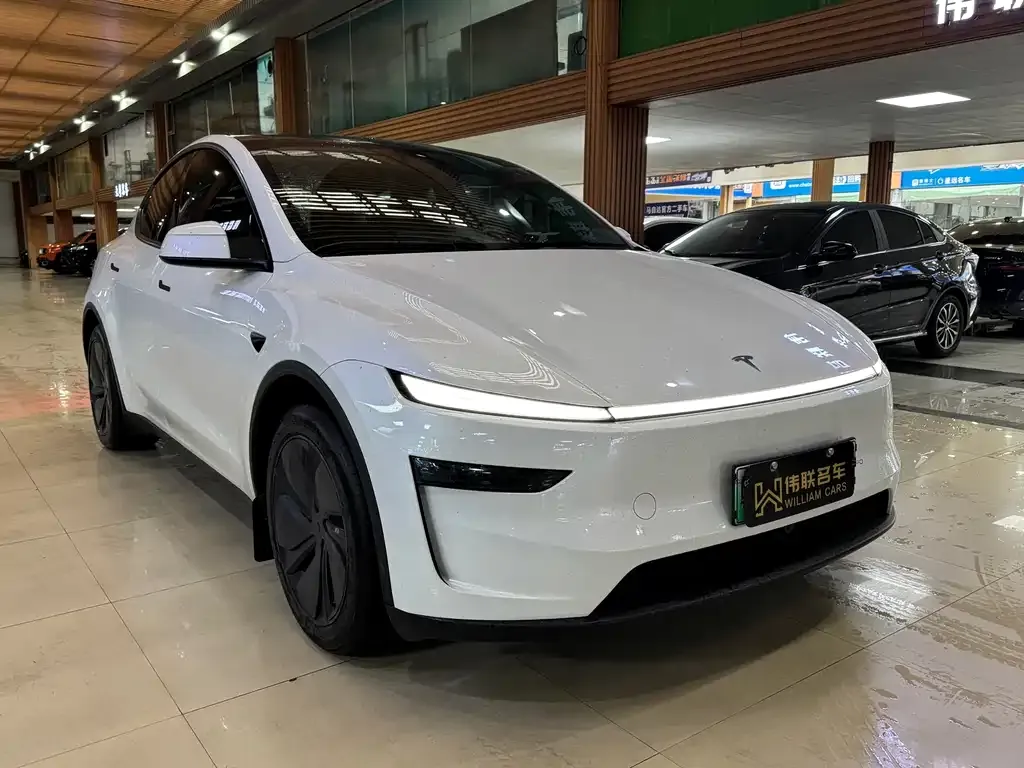 Tesla Model Y — фото 3