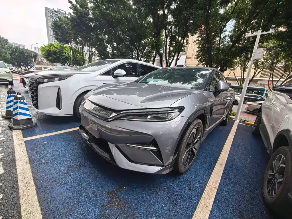 BYD L EV
