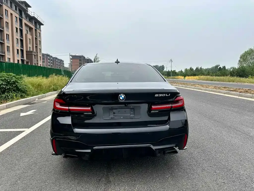 BMW 5 Series 2021 из CN, фото 9