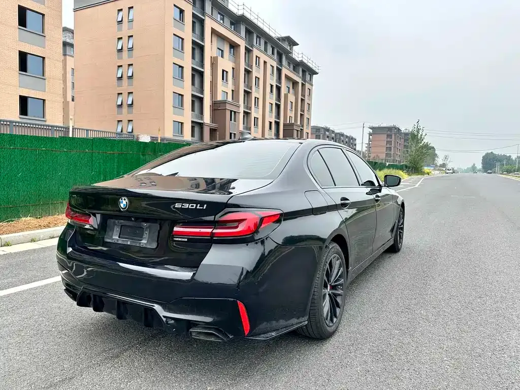 BMW 5 Series 2021 из CN, фото 5