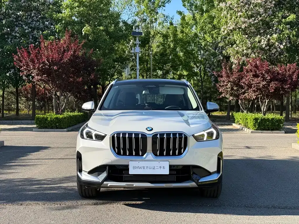 BMW X1 — фото 10