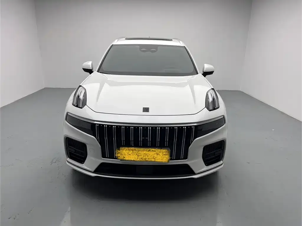 Lynk & Co 09 PHEV 2023 из CN, фото 3